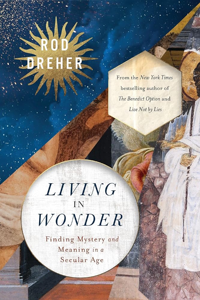 Living in Wonder: Finding Mystery and Meaning in a Secular Age cover image