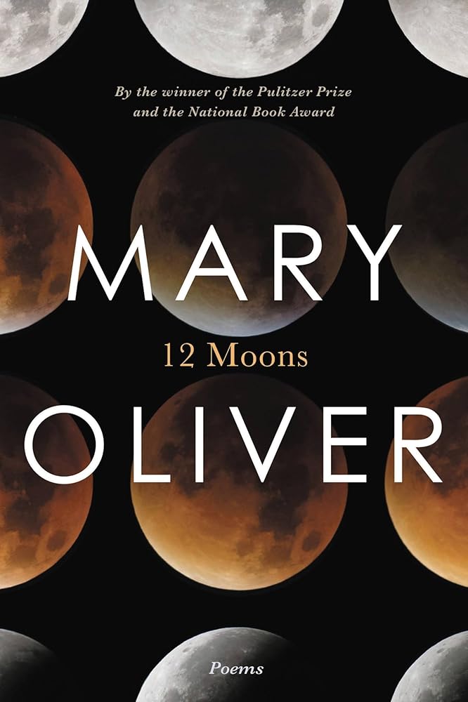 Twelve Moons cover image
