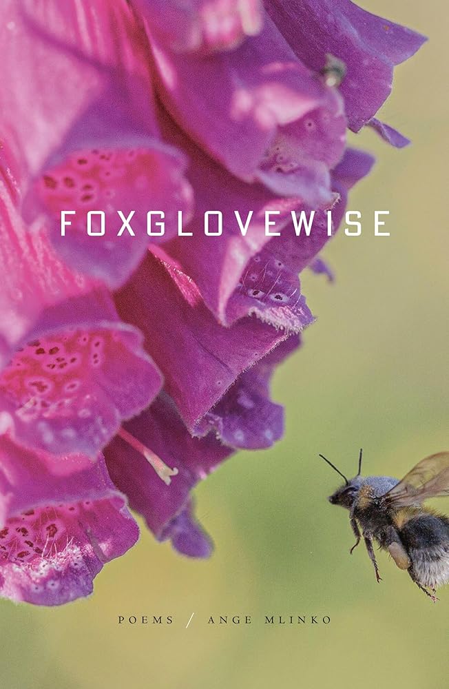 Foxglovewise: Poems cover image