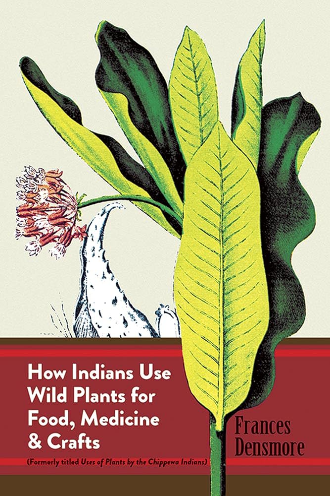 How Indians Use Wild Plants for Food, Medicine and Crafts cover image