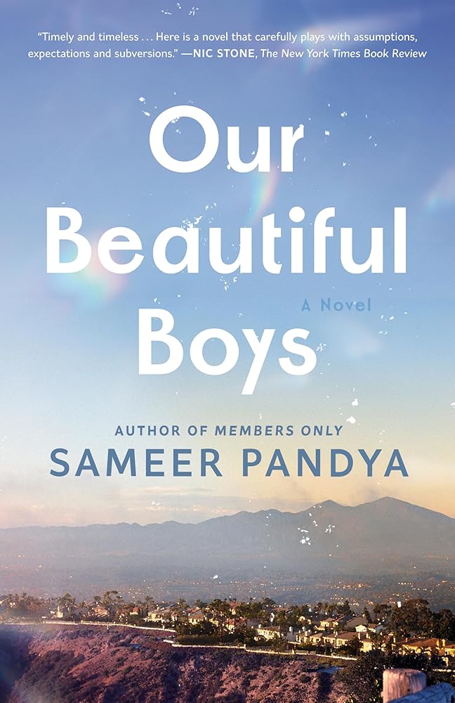 Our Beautiful Boys: A Novel cover image