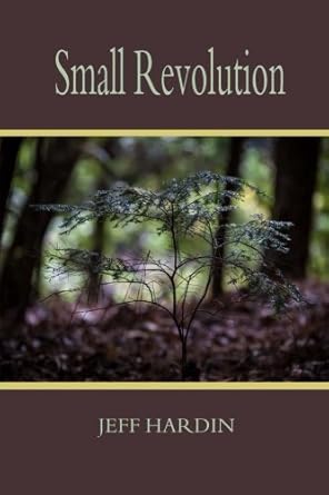 Small Revolution cover image