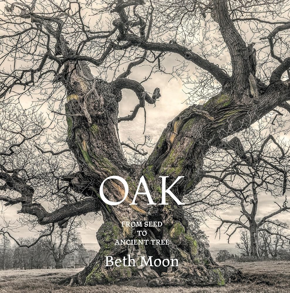 Oak: From Seed to Ancient Tree cover image