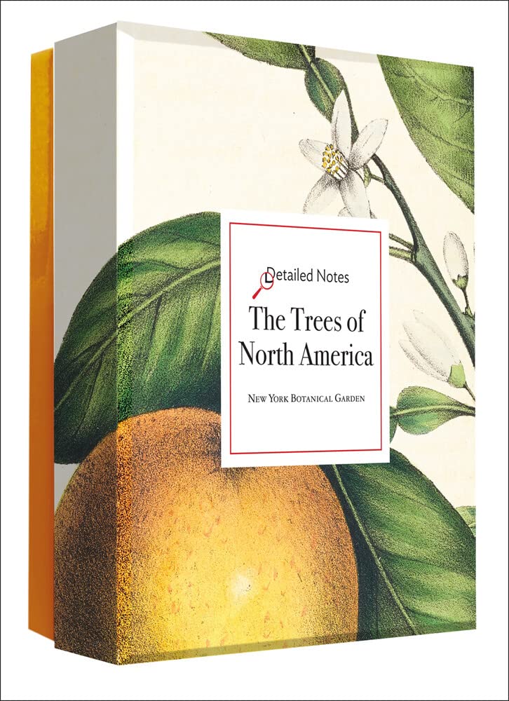 The Trees of North America: A Detailed Notes notecard box cover image