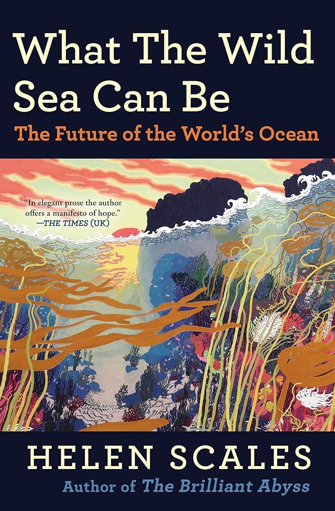 What the Wild Sea Can Be: The Future of the World’s Ocean cover image