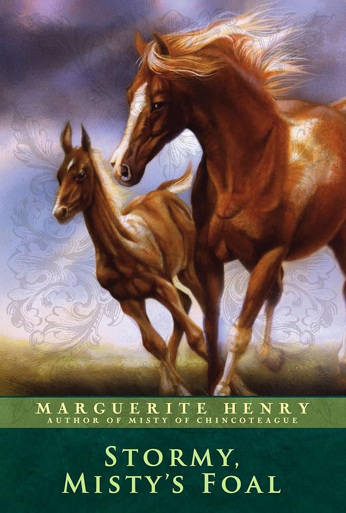 Stormy, Misty's Foal cover image