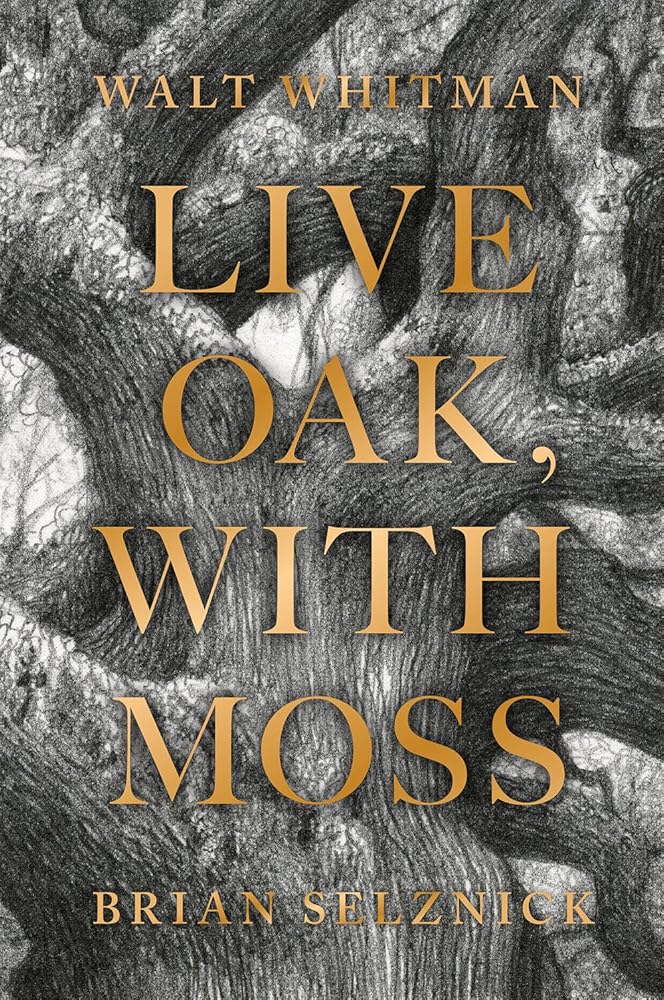 Live Oak, with Moss cover image