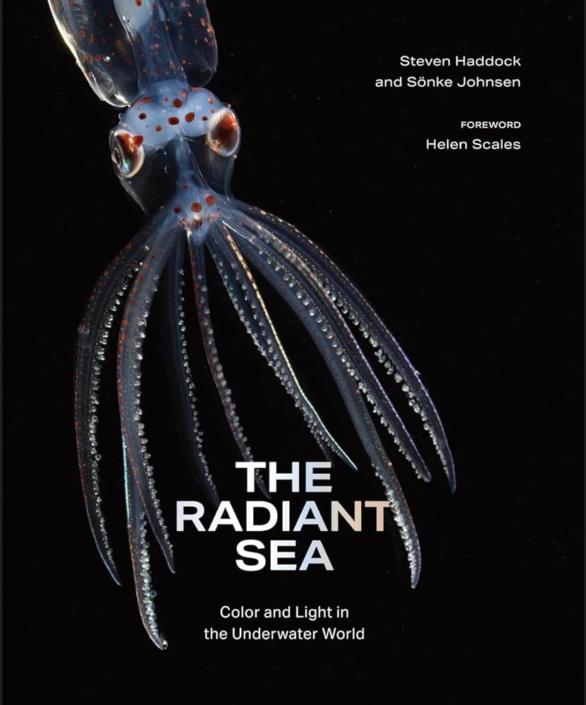 The Radiant Sea: Color and Light In the Underwater World cover image