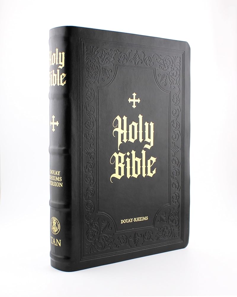 Douay-Rheims Bible Large Print Edition cover image