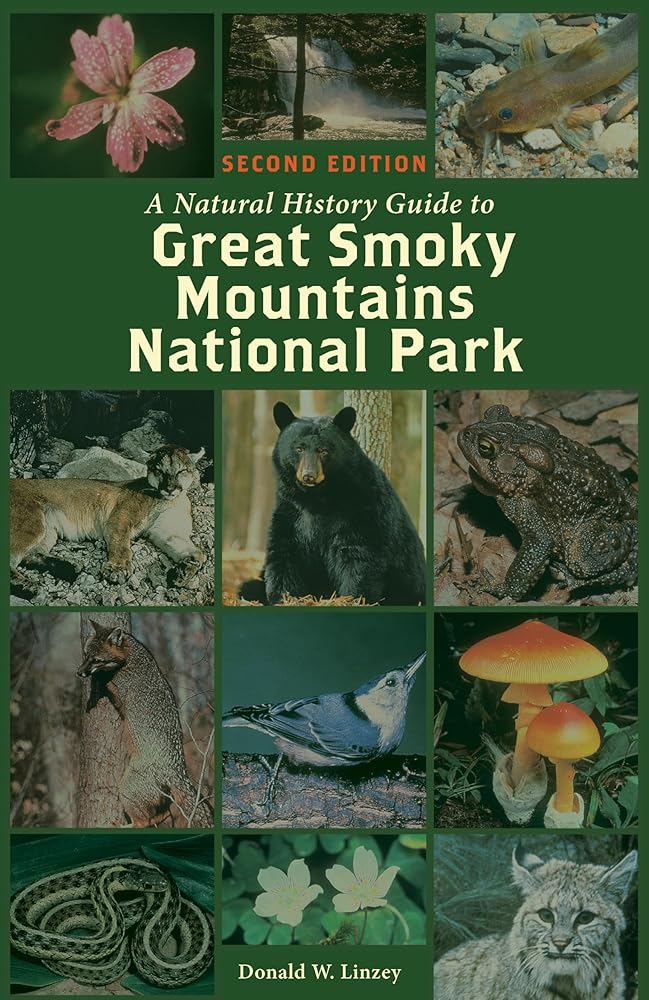Natural History Guide to Great Smoky Mountains National Park cover image