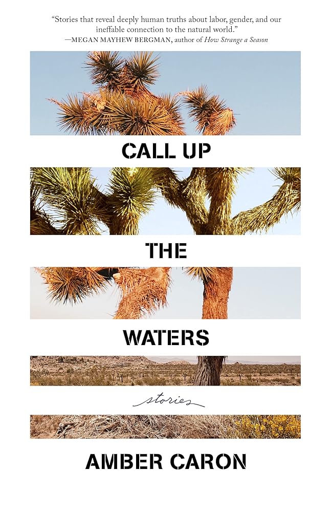 Call Up the Waters: Stories cover image