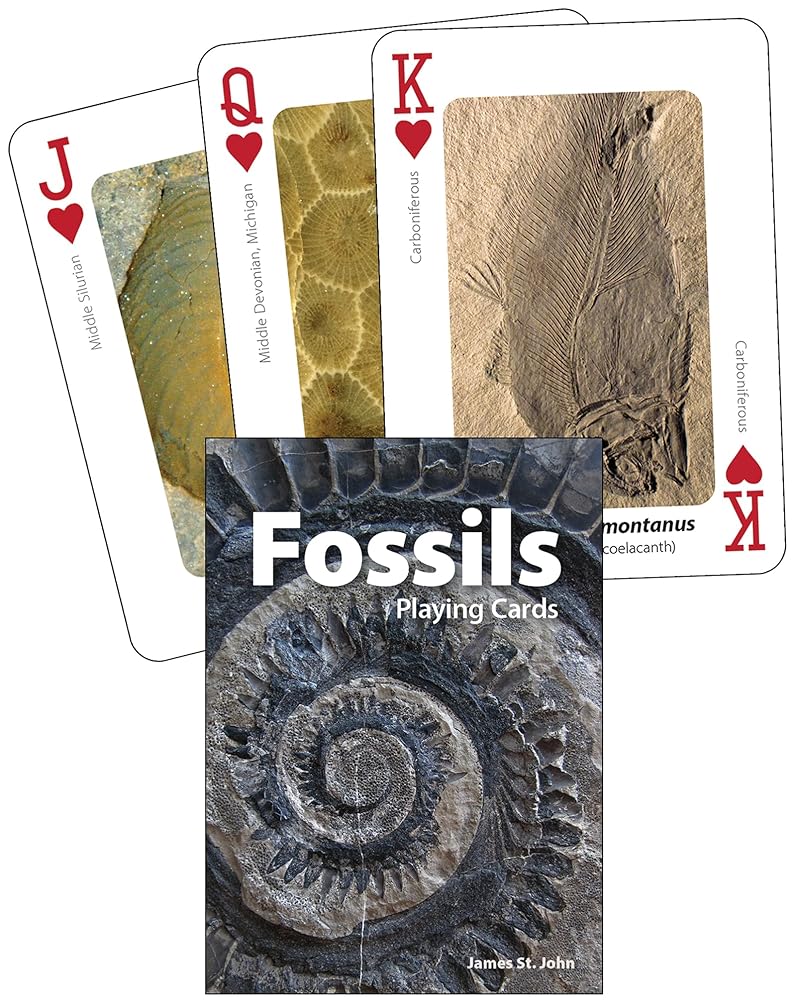 Fossils Playing Cards (Nature's Wild Cards) cover image