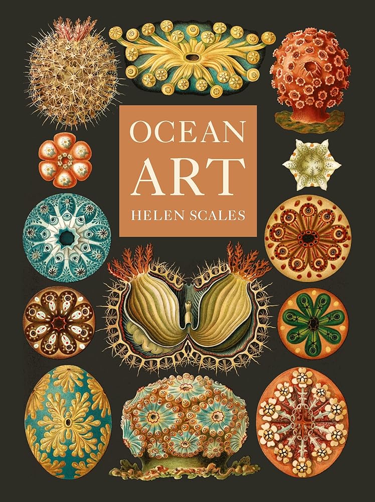 Ocean Art: From the Shore to the Deep cover image