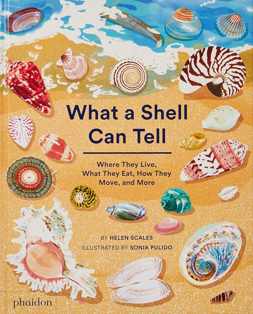 What A Shell Can Tell cover image