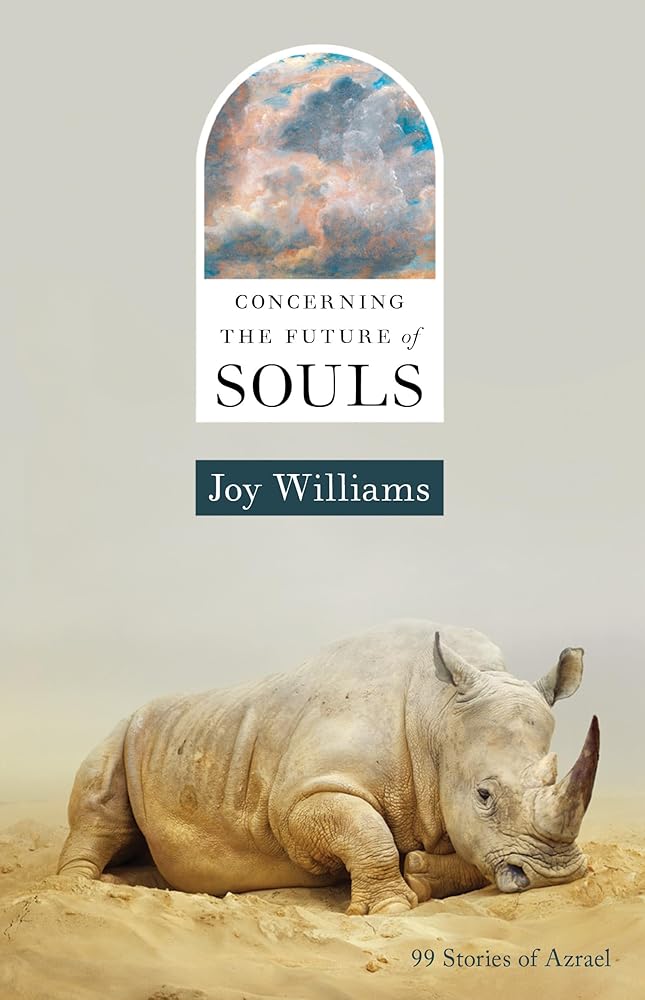 Concerning the Future of Souls cover image