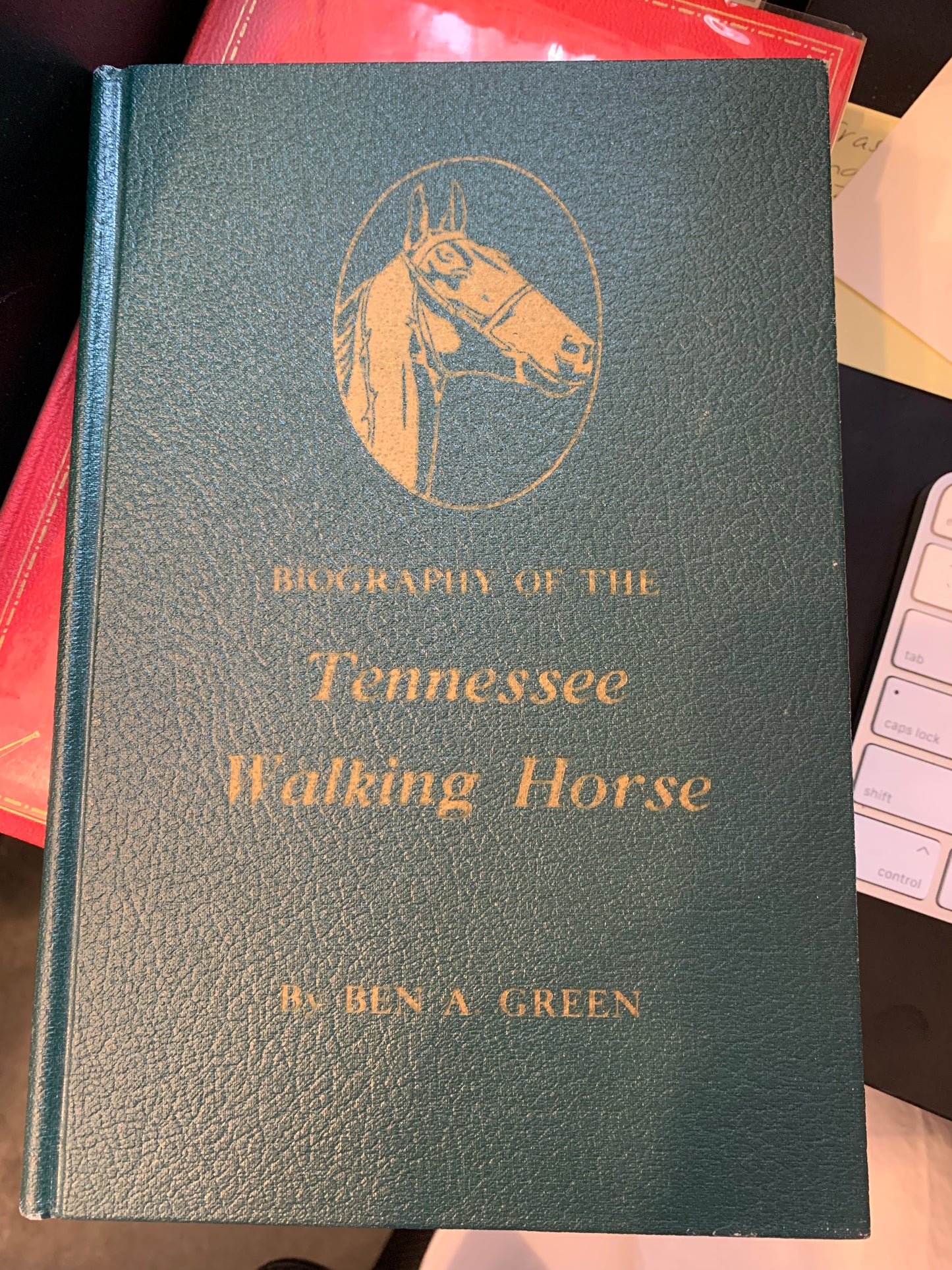 Biography of the Tennessee Walking Horse