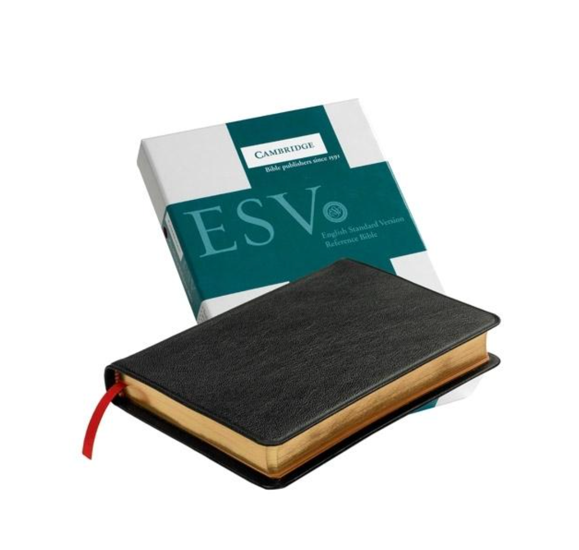 Pitt Minion Reference Bible-ESV