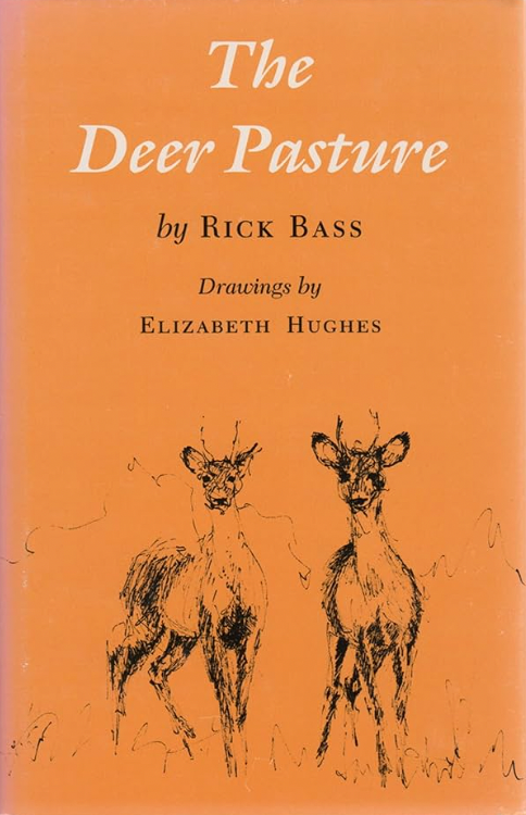 The Deer Pasture