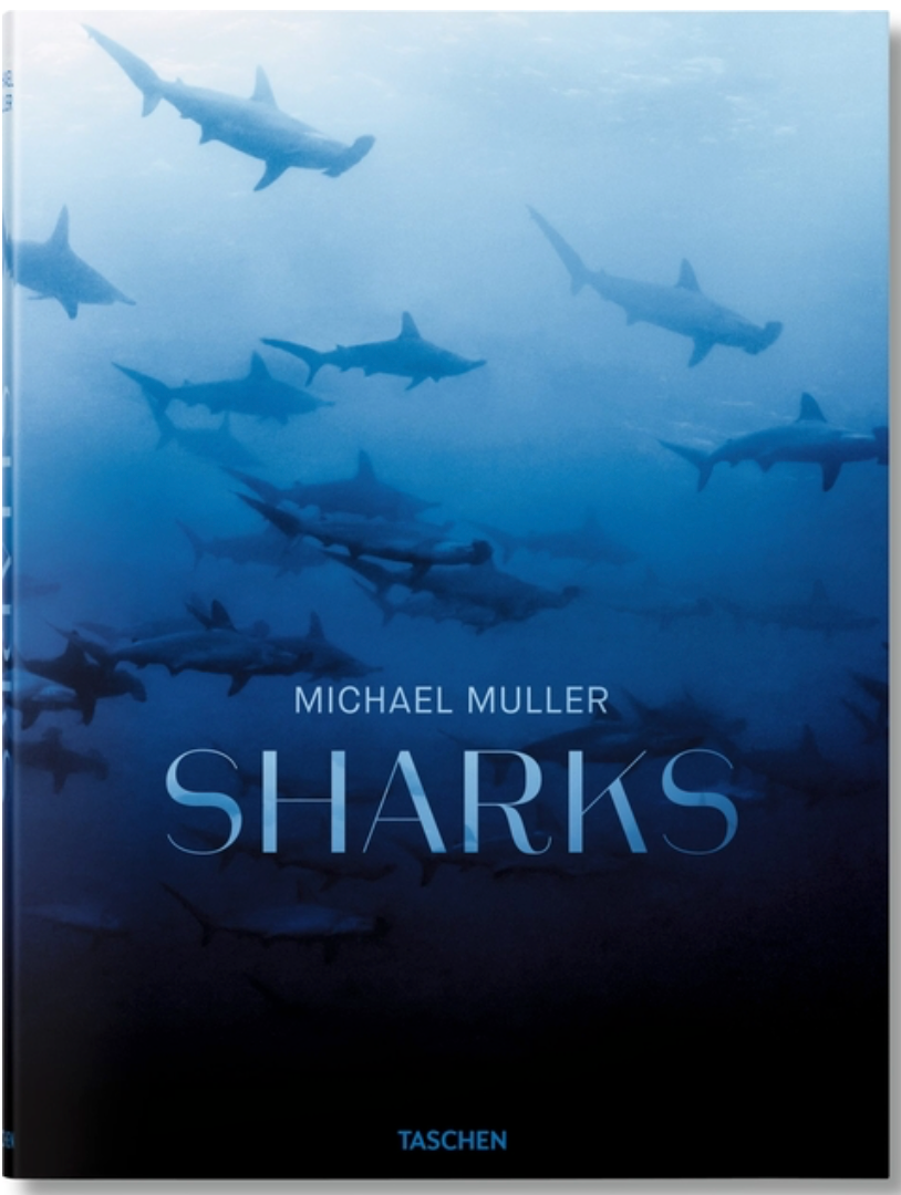 Michael Muller. Sharks