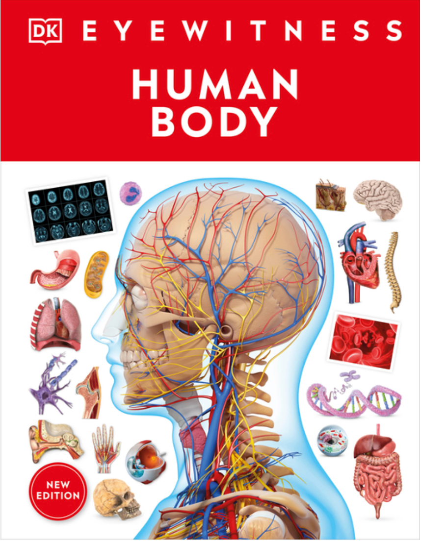 Eyewitness Human Body (DK Eyewitness)