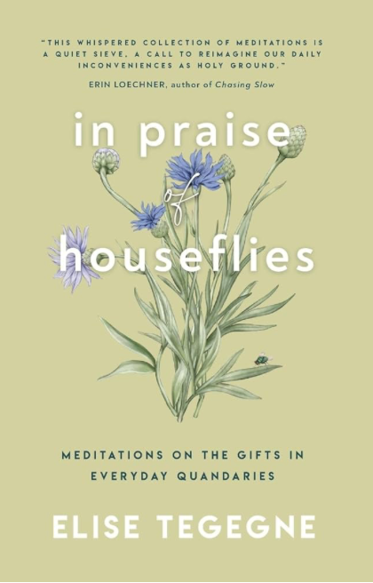 In Praise of Houseflies: Meditations on the Gifts in Everyday Quandaries by Elise Tegegne