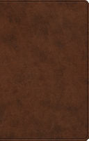 ESV Premium Gift Bible (TruTone, Brown)