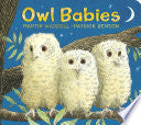 Owl Babies