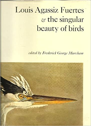 Louis Agassiz Fuertes & the singular beauty of birds