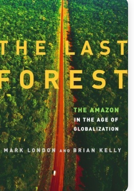 The Last Forest