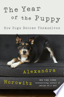 The Year of the Puppy