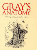 Gray's Anatomy