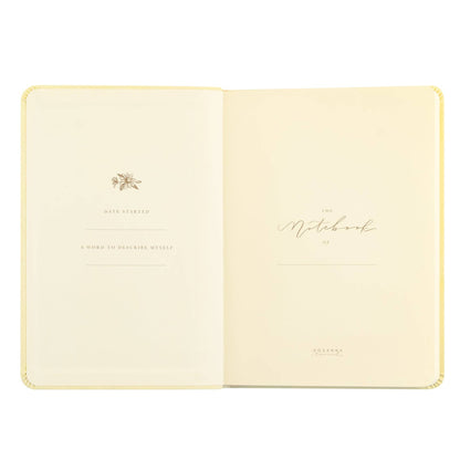 Notebook: Belfast Theme