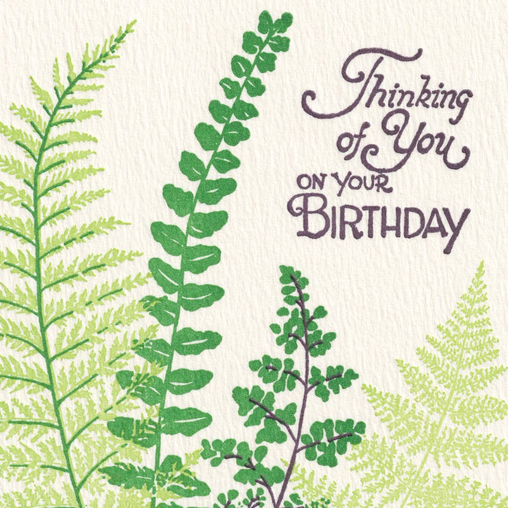 Ferns