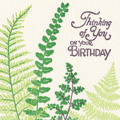 Ferns