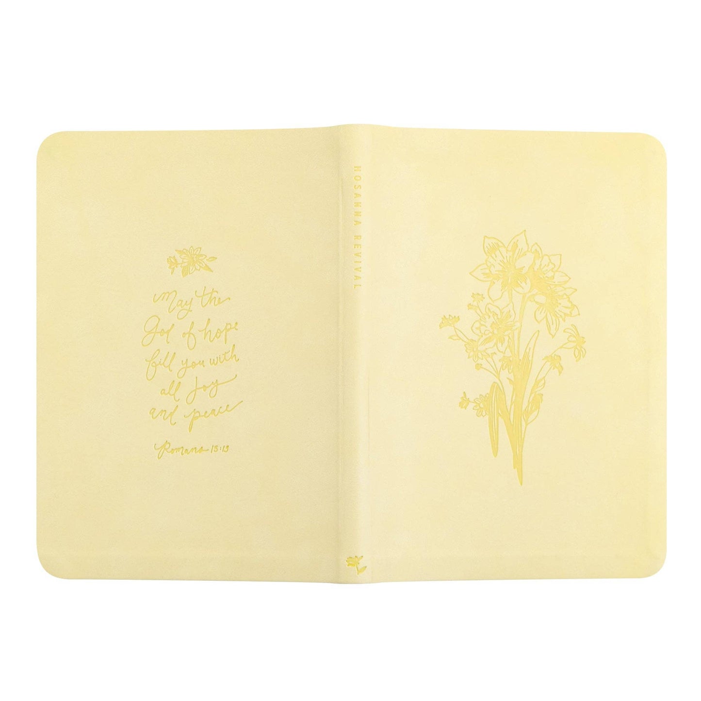 Notebook: Belfast Theme