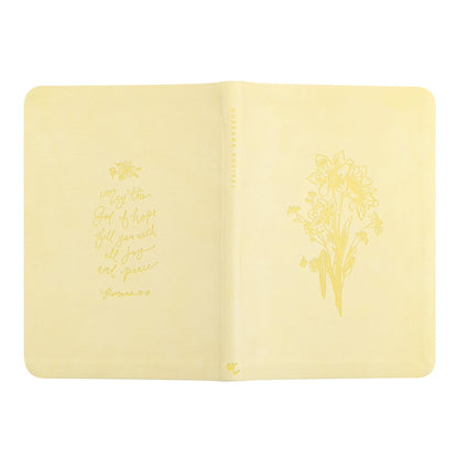 Notebook: Belfast Theme