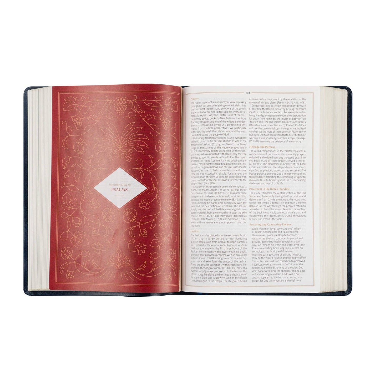 CSB Women's Study Bible: Versailles Theme