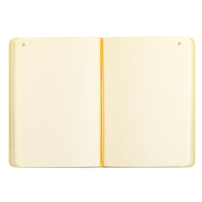 Notebook: Belfast Theme