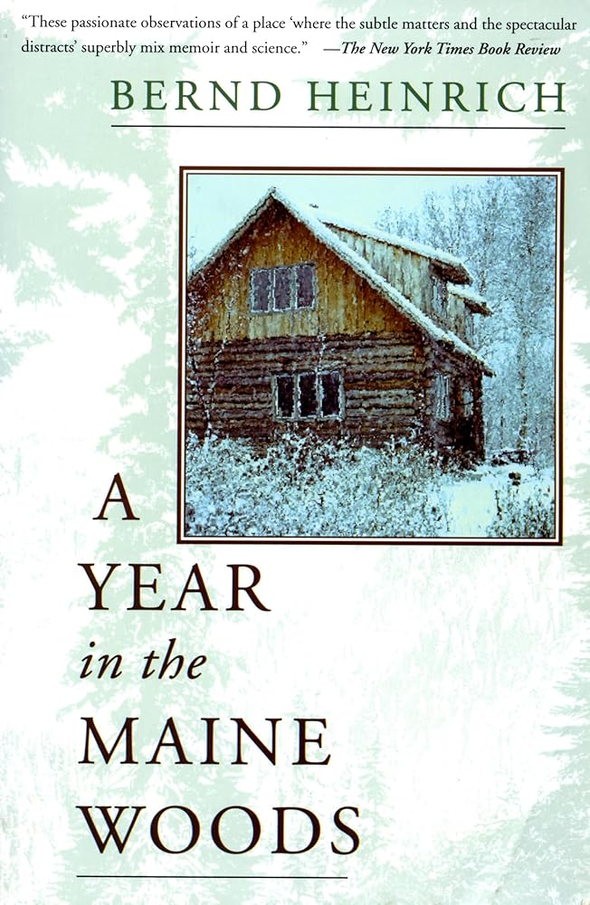 A Year in the Maine Woods cover image
