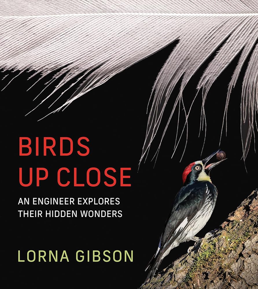 Birds Up Close: An Engineer Explores Their Hidden Wonders cover image
