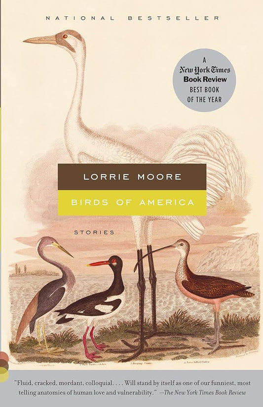 Birds of America: Stories (Vintage Contemporaries) cover image
