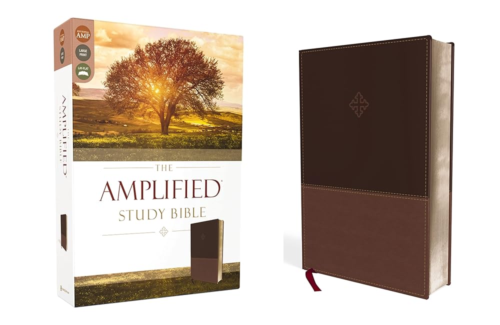 The Amplified Study Bible, Leathersoft, Brown [Large Print] cover image