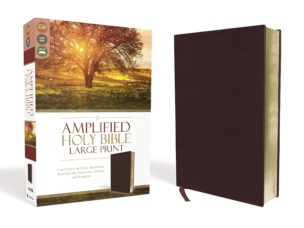 Amplified Holy Bible, Large Print, Bonded Leather, Burgundy: Captures the Full Meaning Behind the Original Greek and Hebrew cover image