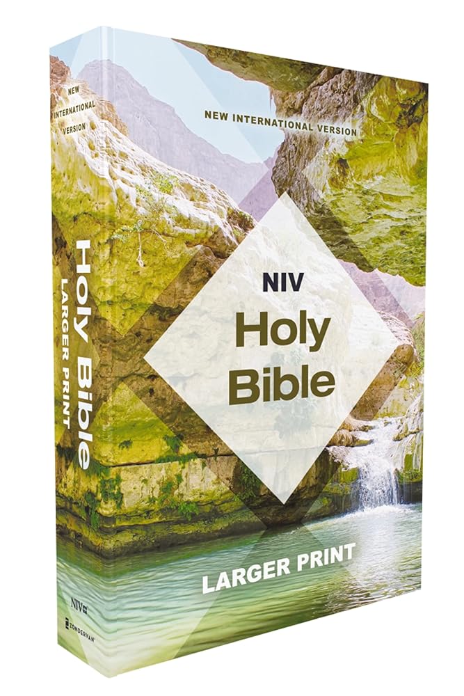 NIV, Holy Bible, Larger Print, Economy Edition, Paperback, Teal/Tan, Comfort Print cover image