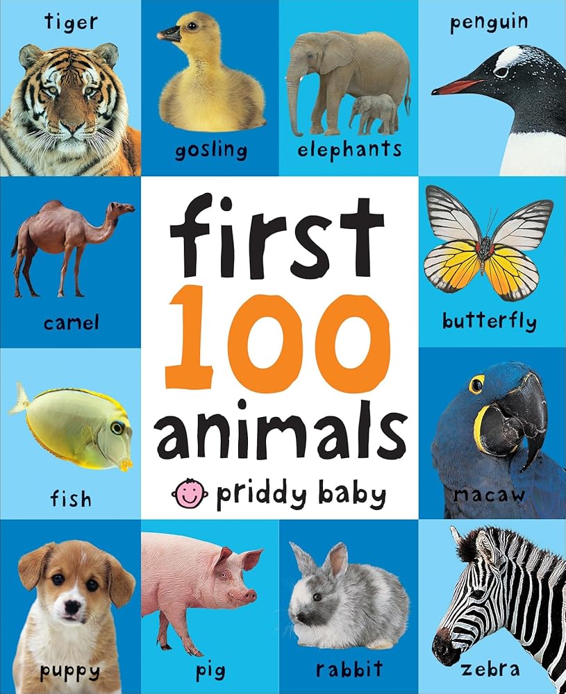 First 100 Animals: In the bestselling First 100 series cover image
