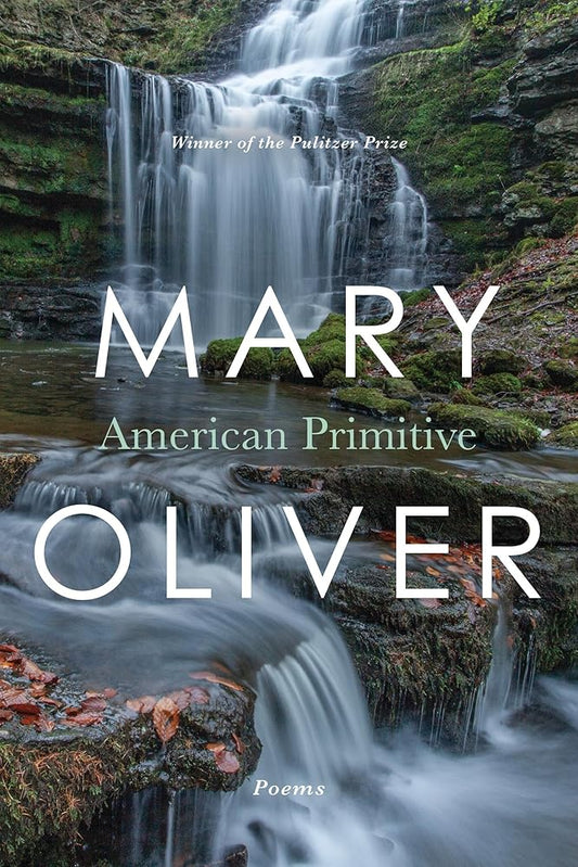 American Primitive cover image