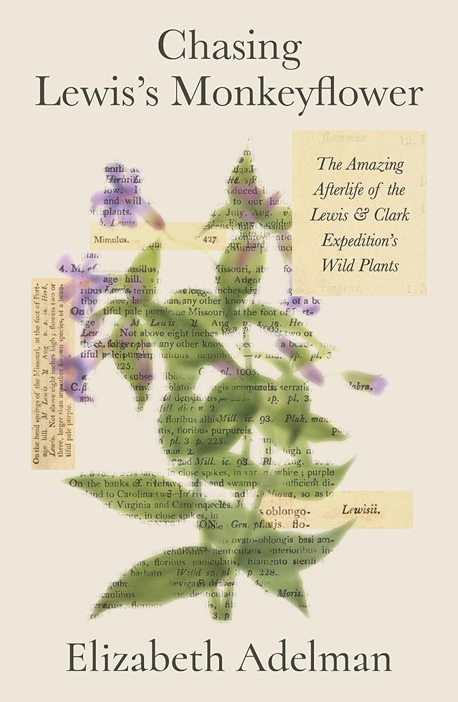Chasing Lewis's Monkeyflower: The Amazing Afterlife of the Lewis and Clark Expedition's Wild Plants cover image