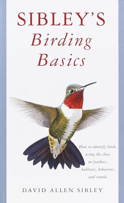 Sibley's Birding Basics: How to Identify Birds, Using the Clues in Feathers, Habitats, Behaviors, and Sounds (Sibley Guides) cover image