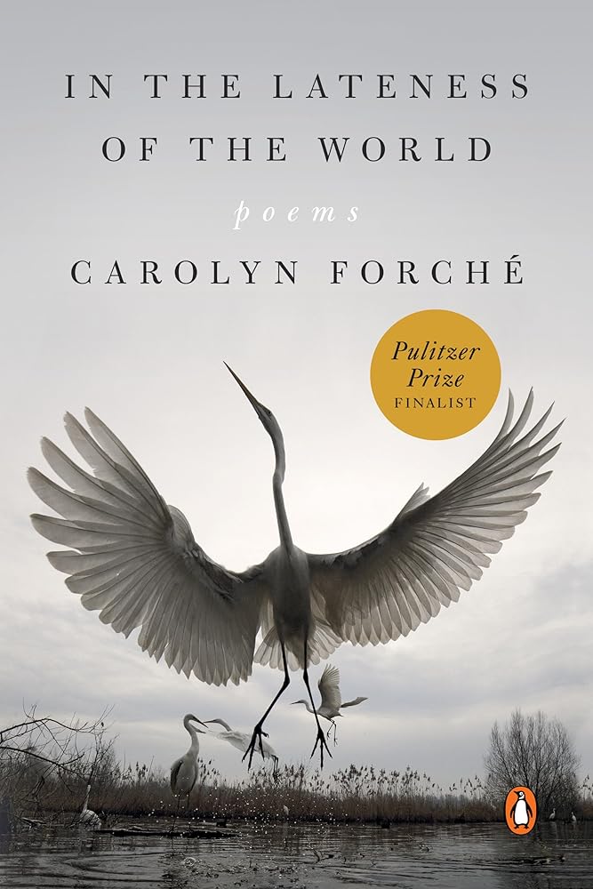 In the Lateness of the World: Poems cover image