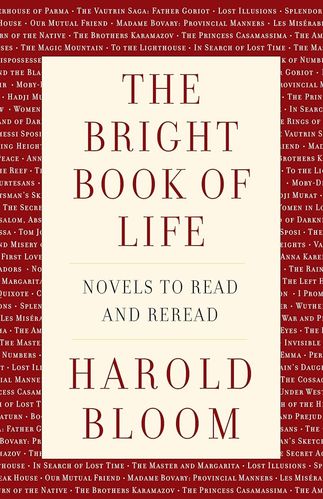 The Bright Book of Life: Novels to Read and Reread cover image